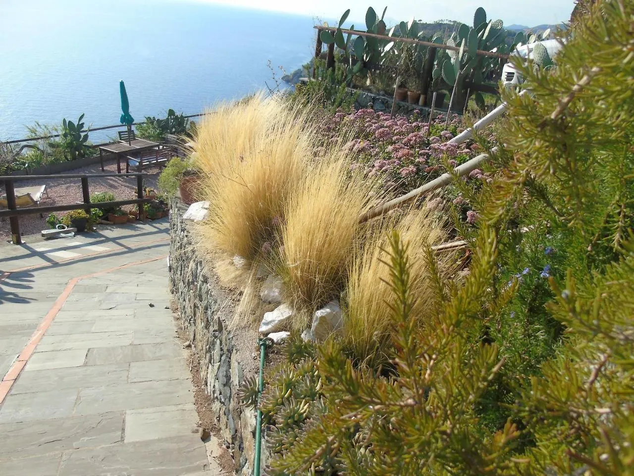 Ca Gialla Bonassola Apartment