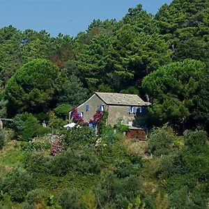 Maison De Charme Giulietta Bonassola